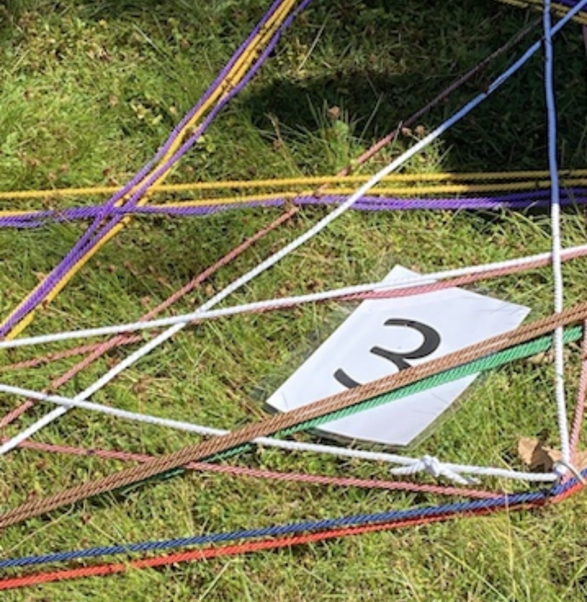 Bunte Schnüre und eine Zahlenkarte liegen als Gitter auf einer Wiese